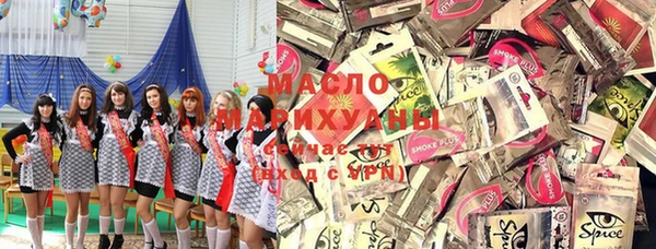 индика Инта