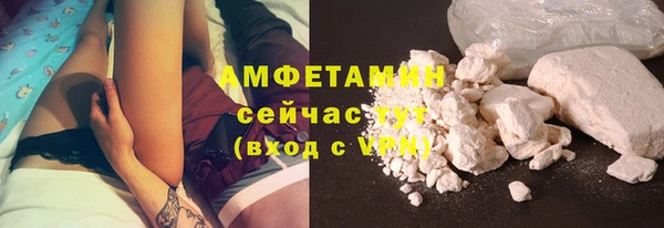 сатива Инсар