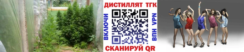 гидра сайт  продажа наркотиков  Лесозаводск  Дистиллят ТГК вейп с тгк 