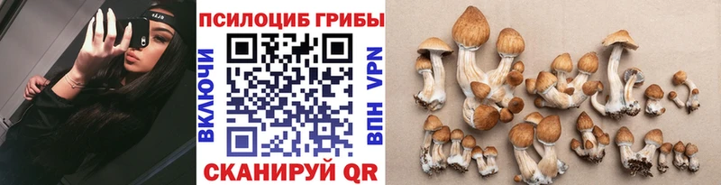 Галлюциногенные грибы ЛСД  наркотики  Лесозаводск 
